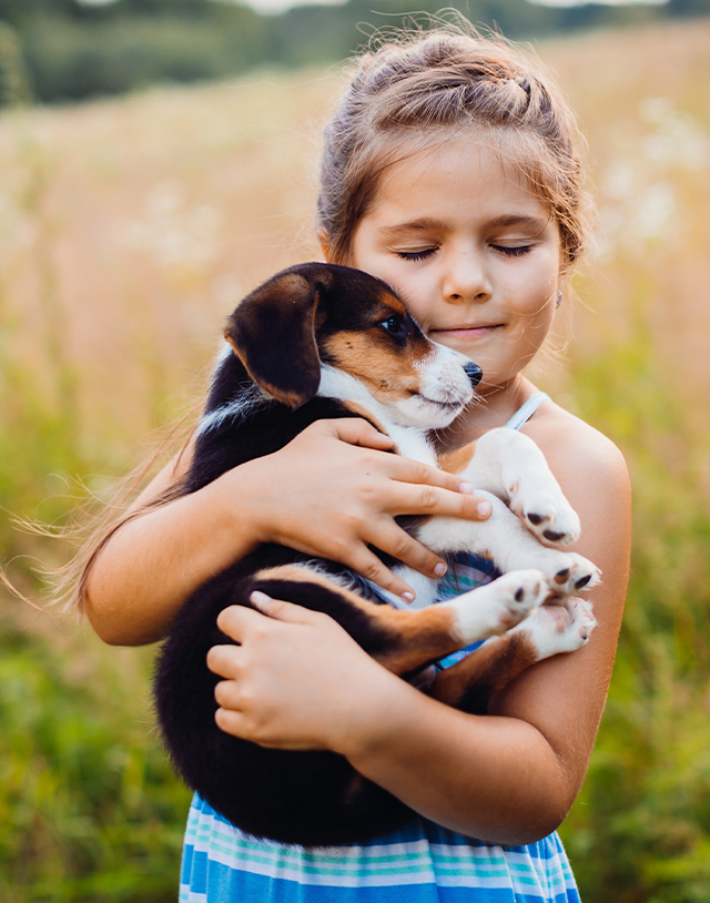 NFound Mission Statemen